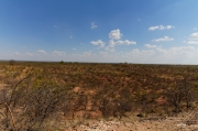 09 - Mapungubwe NP (4)